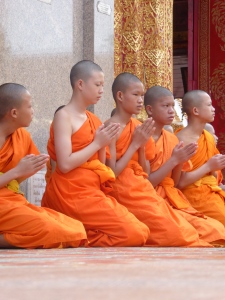 Young (novice) monks praying and chanting